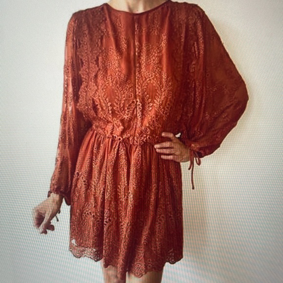 Zimmermann Alchemy Twine Embroidered Mini Dress - Picture 3 of 6